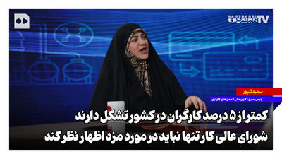 کمتر از پنج درصد کارگران در کشور تشکل دارند؛ شورای عالی کار تنها نباید در مورد مزد اظهار نظر کند