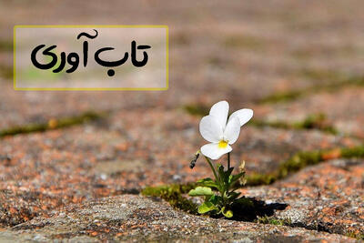 ضرورت تقویت «شفقت به خود» برای کاهش خودسرزنشگری و افزایش تابآوری