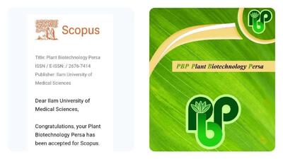 راهیابی یک مجله دانشگاهی ایلام به Scopus
