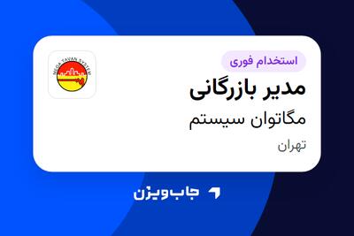  استخدام مدیر بازرگانی در مگاتوان سیستم