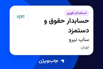 استخدام حسابدار حقوق و دستمزد در ساب نیرو
