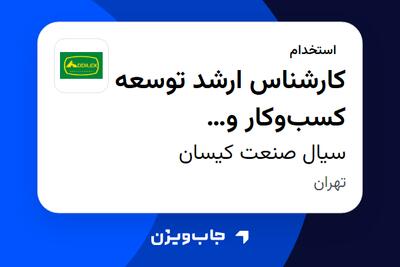 استخدام کارشناس ارشد توسعه کسبوکار و سیستمسازی در سیال صنعت کیسان