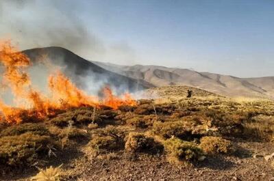 گودرزی: آتشسوزی در باغات روستای بیدک بجنورد مهار شد