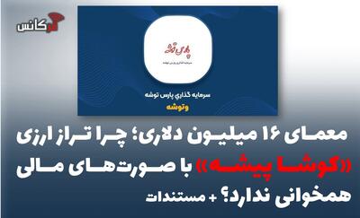  معمای ۱۶ میلیون دلاری؛ چرا تراز ارزی «کوشا پیشه» با صورت‌های مالی همخوانی ندارد؟ + مستندات