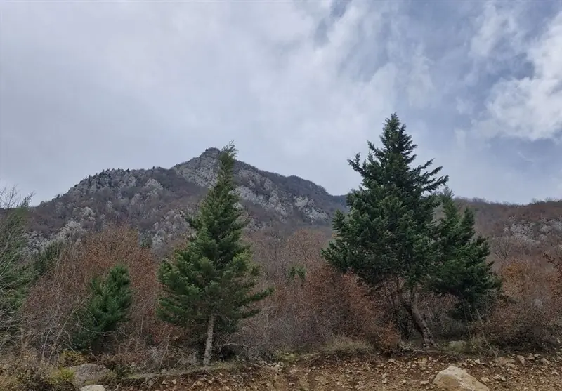 کاهش محسوس دما و وزش باد در راه کردستان است - تسنیم