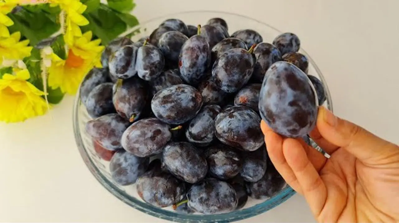 ترفند نگهداری آلو برای یک سال؛ تهیه مارمالاد خوشرنگ و شربت طبیعی آلو