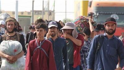 جنگ ایران افغانها را به سمت بازگشت به اقتصاد نابسامان و حکومت طالبان سوق میدهد