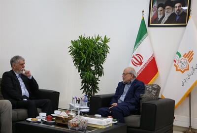 امیری اصفهانی: «نشاط اجتماعی» یکی از ظرفیتهای مؤثر در پیشگیری از رفتارهای ناهنجار است