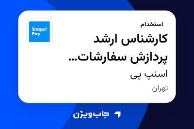 استخدام کارشناس ارشد پردازش سفارشات بیمه (اسنپ بیمه - شیفت عصر) در اسنپ پی