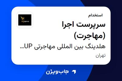 استخدام سرپرست اجرا (مهاجرت) در هلدینگ بین المللی مهاجرتی VIP GROUP