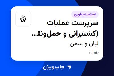  استخدام سرپرست عملیات (کشتیرانی و حمل‌ونقل بین‌المللی) در لیان ویسمن