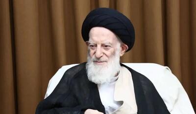  عیادت رئیس دفتر رهبر انقلاب در قم از آیت‌الله شبیری‌زنجانی/ حال عمومی مرجع تقلید مساعد است