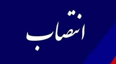 حسن محمدی عضو هیاتمدیره هلدینگ فنحاب شد - مردم سالاری آنلاین