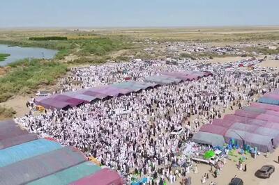 ذبح بیش از ۱۰۰۰ رأس گوسفند و شتر در یک جشن عروسی در عراق!+ فیلم