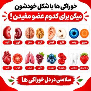  اینفوگرافیک | خوراکی‌ها با شکلشون میگن برای کدوم عضو مفیدند!