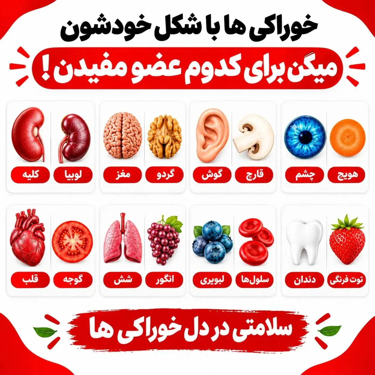  اینفوگرافیک | خوراکی‌ها با شکلشون میگن برای کدوم عضو مفیدند!