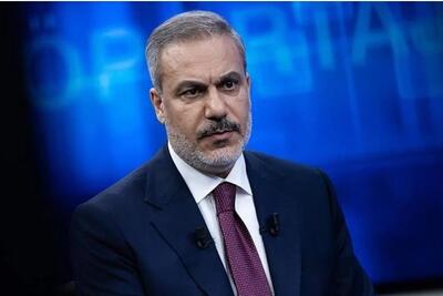  فیدان: اسرائیل درباره فلسطین هر بار خواسته‌های جدیدی مطرح می‌کند - تسنیم