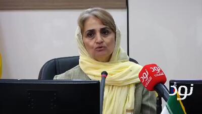 بیش از ۶۰ درصد فارغالتحصیلان دانشگاهی زن هستند، اما در اقتصاد دیجیتال سهم کمتری دارند