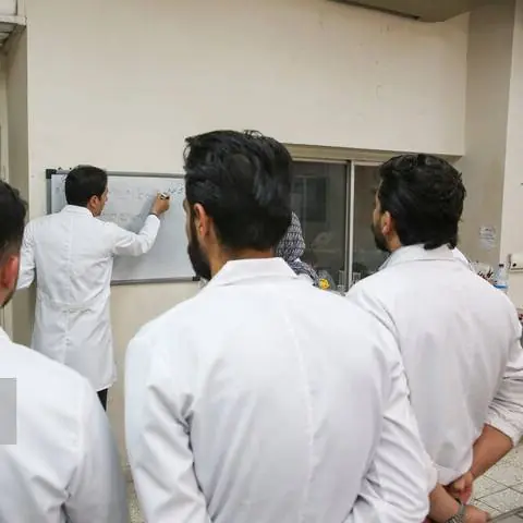 رئیس دانشگاه تربیت مدرس: حقوق برخی اساتید از آبدارچی سازمانها کمتر است | آخرین خبر