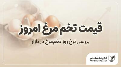  قیمت تخم مرغ امروز؛ هر شانه تخم مرغ چند شد؟ | جزئیات قیمت تخم مرغ فله و بسته بندی