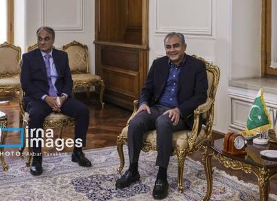 وزیر کشور پاکستان امروز عازم ایران شد - اکونیوز