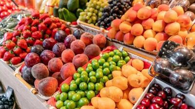 شوک به صادرات کشاورزی ایران؛ ماجرای ۲۰۰ کانتینر برگشتی چیست؟