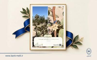  غرس ۹۸ نهال به مناسبت نودوهشتمین سالگرد بانک ملی ایران