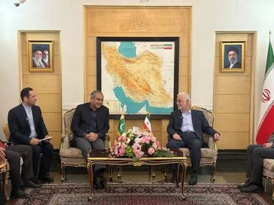  وزیر کشور پاکستان وارد تهران شد