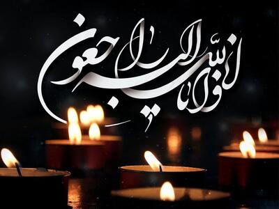 پیام تسلیت جهاددانشگاهی در پی ارتحال آیتالله شبیری زنجانی