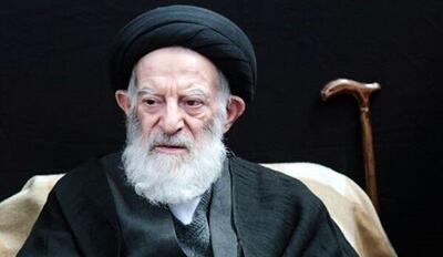  آیت الله العظمی شبیری زنجانی، مرجع ژرف اندیش و مروج دین بود