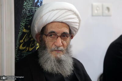 تسلیت آیتالله العظمی دوستی زنجانی در پی ارتحال آیتالله العظمی شبیری زنجانی
