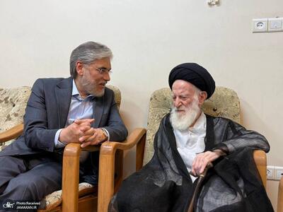 وزیر علوم: آیتالله العظمی شبیری زنجانی مظهر شرافت و تجلّی زیست اخلاقی علامه طباطبایی بود/ این فقیهِ فروتن نیز از ادبِ سوءِ جاهلان تندرو و کم تحمل در امان نماند، گرچه با دریادلی، «مَرّوا کِراماً» از کنارشان گذشت