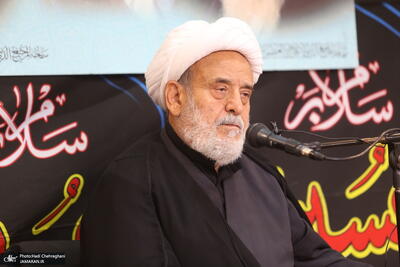 شیخ حسین انصاریان درگذشت آیت الله العظمی شبیری زنجانی را تسلیت گفت