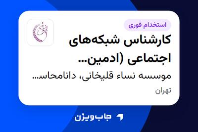 استخدام کارشناس شبکههای اجتماعی (ادمین سوشال مدیا) در موسسه نساء قلیخانی، دانامحاسب فکور