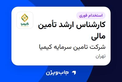 استخدام کارشناس ارشد تأمین مالی در شرکت تامین سرمایه کیمیا