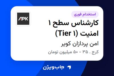 استخدام کارشناس سطح 1 امنیت (Tier 1) - آقا در امن پردازان کویر