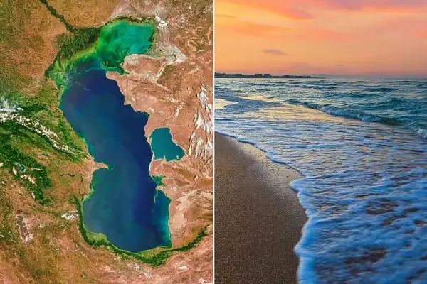 منابع ژنتیکی خزر؛ محور راهبردی همکاریهای زیستمحیطی پنج کشور ساحلی