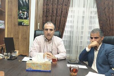 رفعتی: رسانهها به همه رشتههای ورزشی توجه کنند