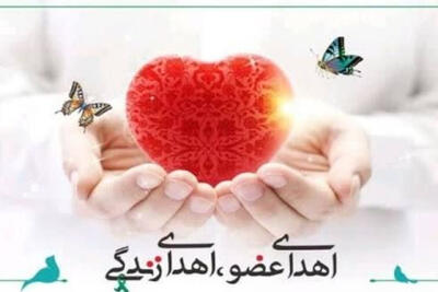 بیستوششمین اهدای عضو سال در یزد ثبت شد