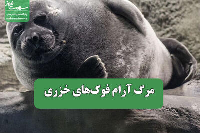 مرگ آرام فوکهای خزری