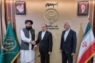 اعلام آمادگی ایران برای تأمین ماشینآلات و نهادههای کشاورزی افغانستان