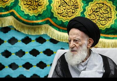 مروری بر زندگی و فعالیتهای علمی آیتالله شبیری زنجانی - تسنیم