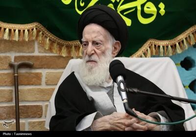 بازگشت به متن و تاریخ؛ درآمدی بر مکتب فقهی آیتالله شبیری زنجانی - تسنیم