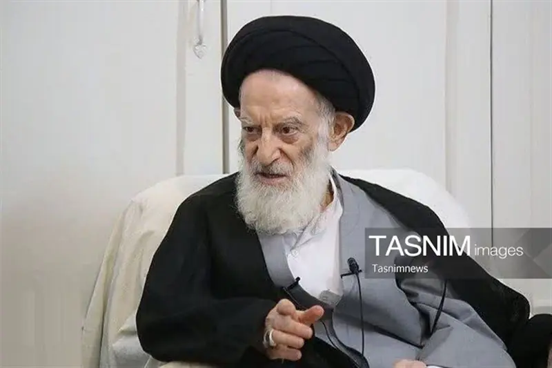 حکیم: آیتالله شبیری زنجانی حوزه علمیه را از دانش خود بهرهمند کرد - تسنیم