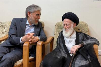  وزیرعلوم: آیت‌الله شبیری زنجانی تجلی زیست اخلاقی علامه طباطبایی بود - تسنیم