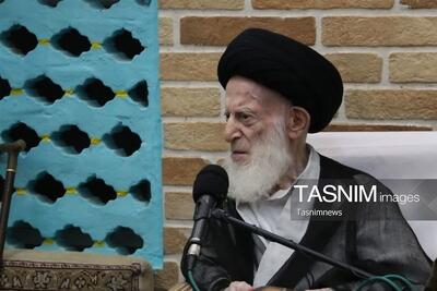 آیتالله العظمی شبیریزنجانی؛ چهرهای ماندگار در فقه، اصول و دانش رجال - تسنیم