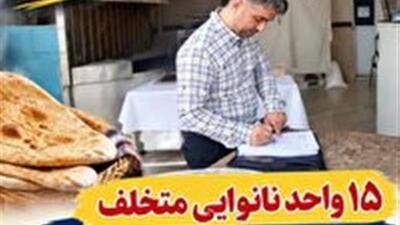 ۱۵ واحد نانوایی متخلف در قائمشهر به تعزیرات معرفی شدند | آخرین خبر