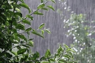 کاهش دمای هوا در راه است | بارشها از پنجشنبه در سواحل خزر آغاز میشود؛ پیش بینی وضعیت هوای پایتخت تا پایان هفته