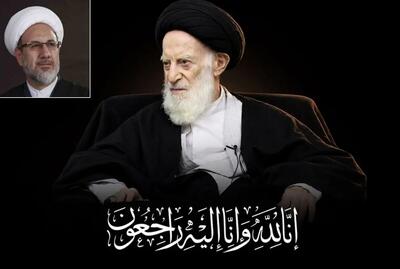 آیتالله سیدموسی شبیری زنجانی فقیه مرزها