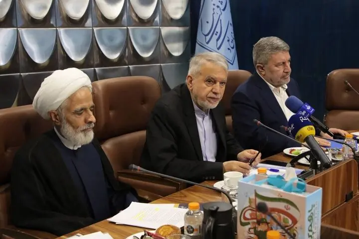 صالحیامیری: روایت میناب را به یک جریان فرهنگی ملی و جهانی تبدیل میکنیم